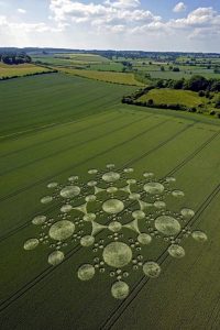 Círculos en los cultivos flor de la vida