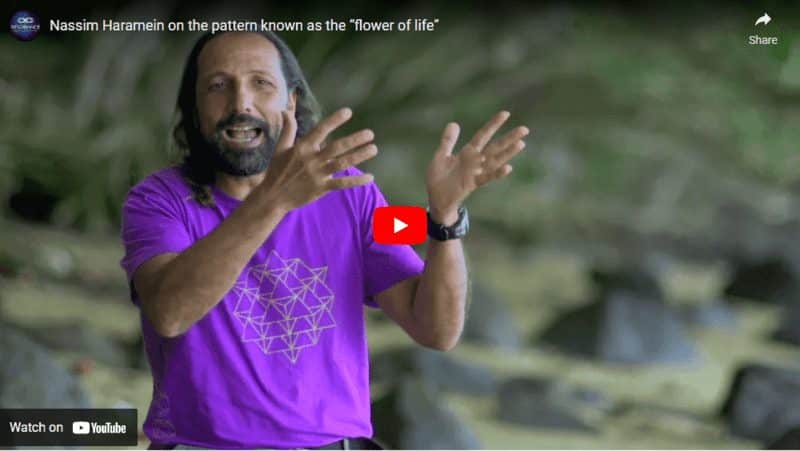 nassim harmein the resonance project flower of life flower of life